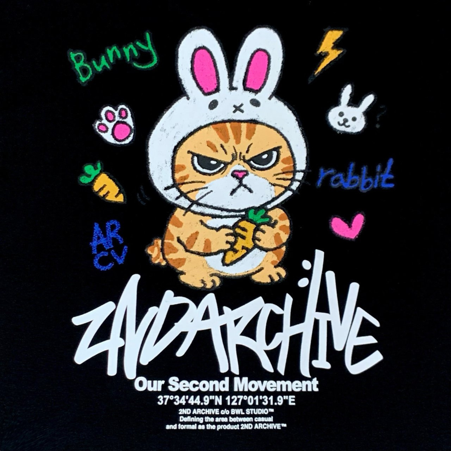 [2nd Archive]うさぎの耳をつけた猫Tシャツ(SAB256)