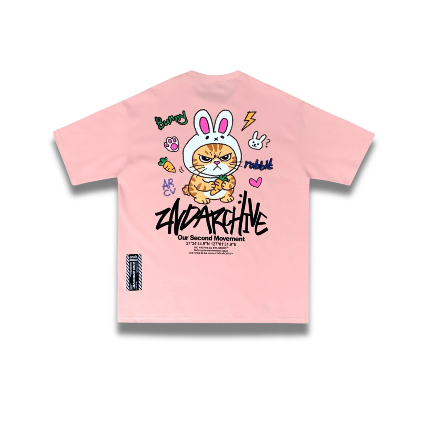 [2nd Archive]うさぎの耳をつけた猫Tシャツ(SAB256)